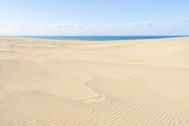 Tottori Sand Dune Ripple